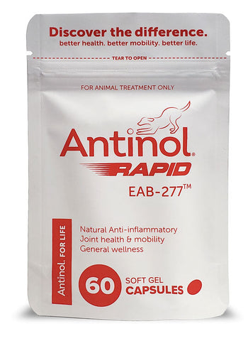 Antinol Rapid