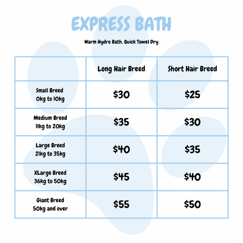 Bath Express for Dogs