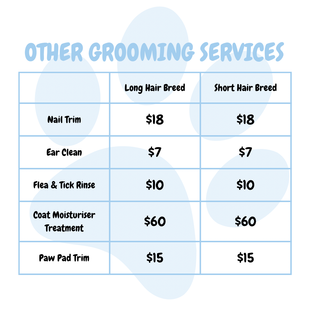 Grooming Services Extras for Dogs