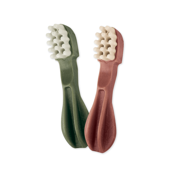 Whimzees Veggie Toothbrush Star Dental Treat for Dogs