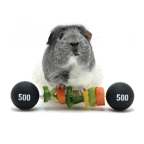 Piggy Weightlifter™ - Vegetable Kebab Maker