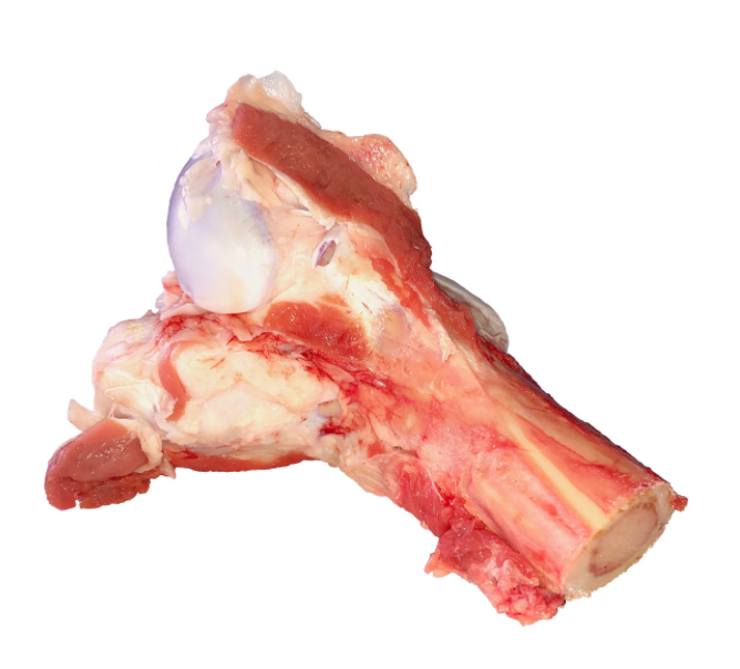 Raw Pet Treats Beef Marrow Bones