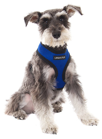 The Superior Design Soft Mesh Dog Harnesses