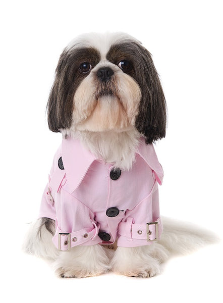 Trench Coat for Small Breed Dogs