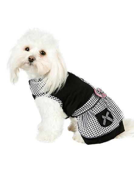 Black Gingham Dog Dress with Lead