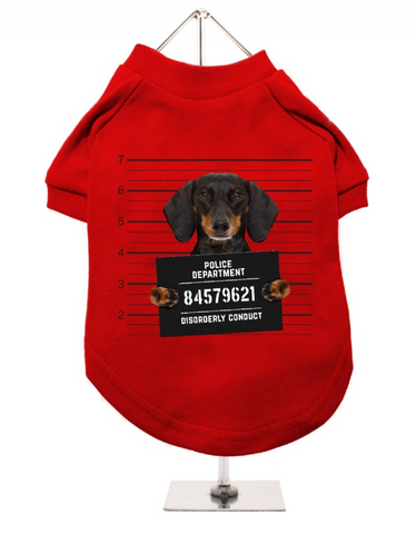 Dog T-Shirt - Police Mugshot - Dachshund - Red