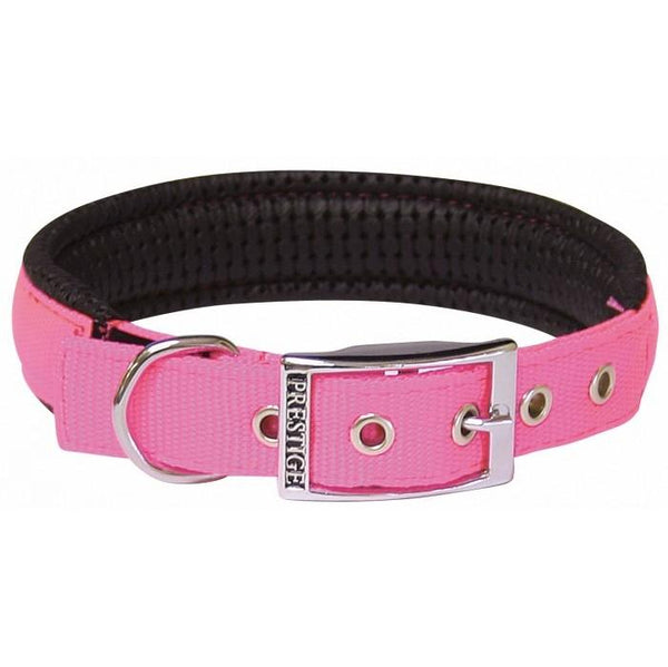 Prestige Soft Padded Nylon Pet Collar - 3/4inch