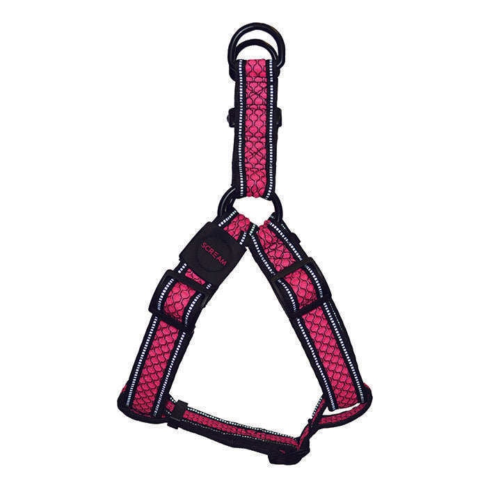 jump step in harness