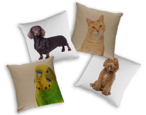 Organic Animals Pet Cushion Cover