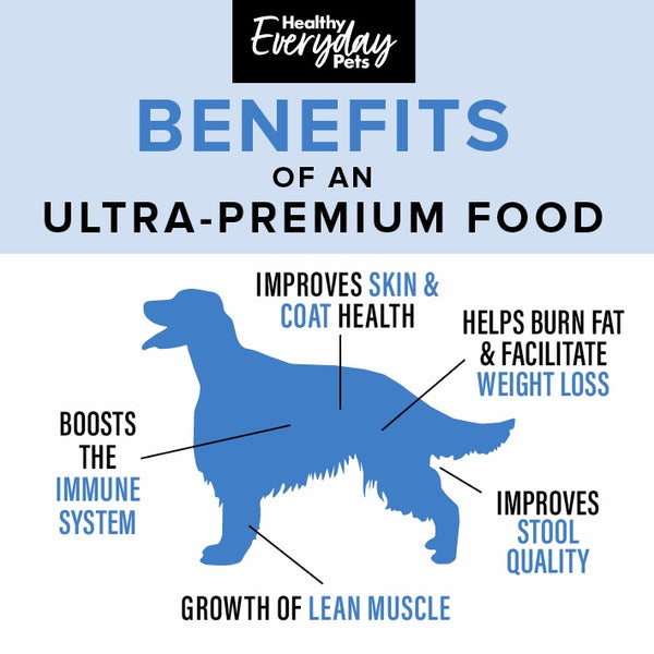 Healthy Everyday Pets Dry Dog Food Athlete