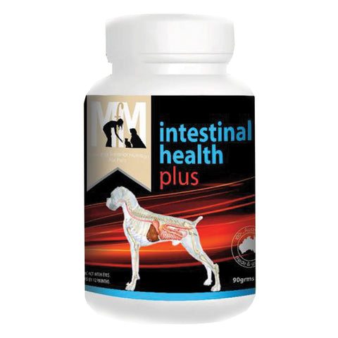 Intestinal Health Plus Probiotic For Dogs