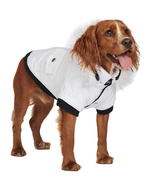 Snow White Quilted Dog Parka