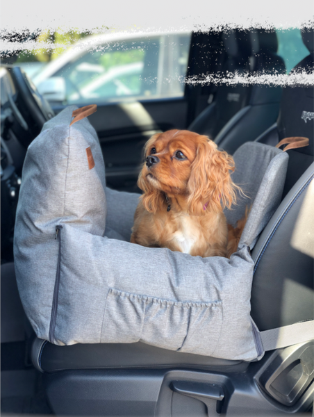 Barkley & Bella Car Seat Safety Pillow