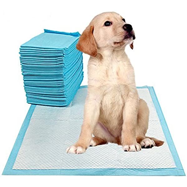 Puppy toilet pads top
