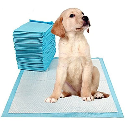 Puppy Toilet Training Pads