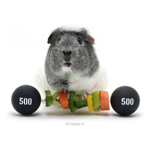 Piggy Weightlifter™ - Vegetable Kebab Maker