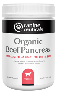 Organic Beef Pancreas