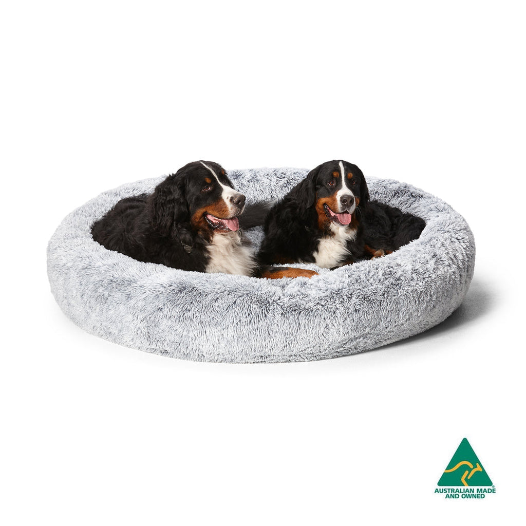Snooza big dog bed sales