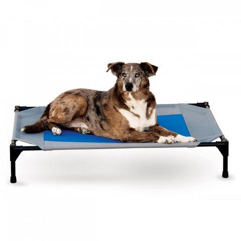 Elevated Coolin' Cot Dog Bed