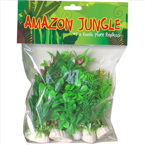 Amazon Jungle Plants