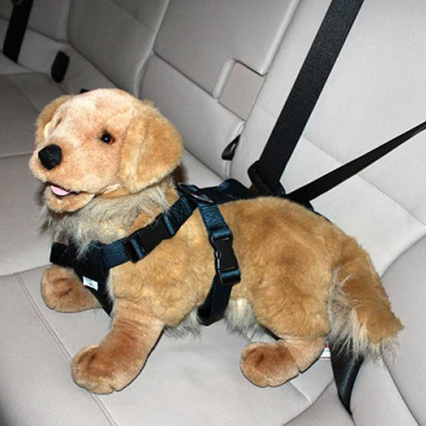 Car Harness for Dogs