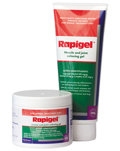 Rapigel Muscle and Joint Relieving Gel