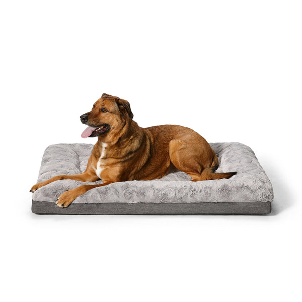 Snooza Ultra Comfort Lounge Bed