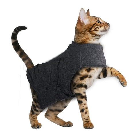 Calm Paws Cat Anxiety Vest
