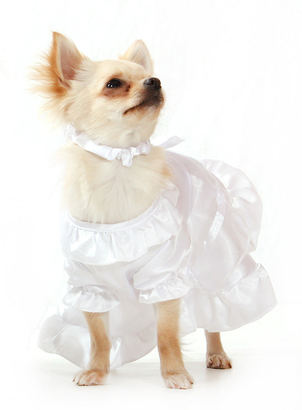 Doggy Bridal Wedding Dress With Veil