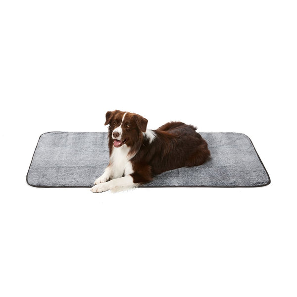 Snooza Dry Luxe Blanket - Chincilla