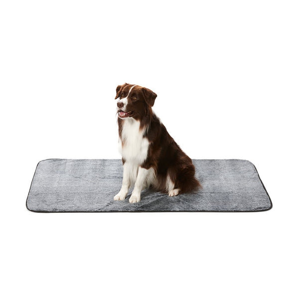 Snooza Dry Luxe Blanket - Chincilla