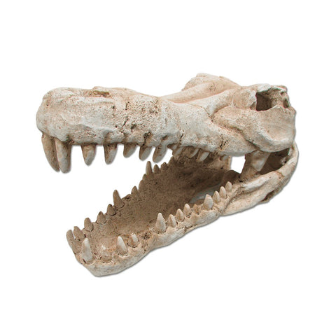 Aquarium Terrarium Croc Skull Decor