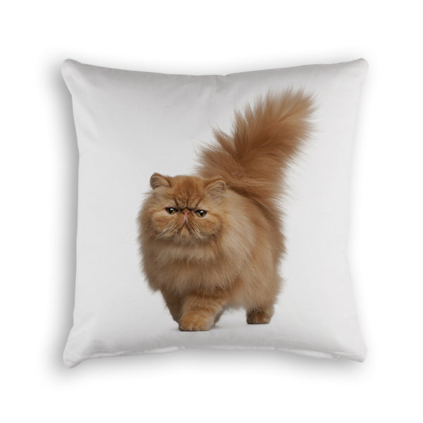 Organic Animals Pet Cushion Cover