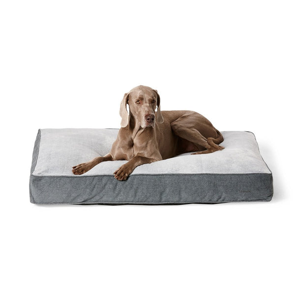 Snooza Shapes Oblong Dog Bed