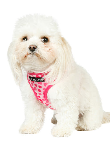 Pink Hearts Dog Harness - Pink