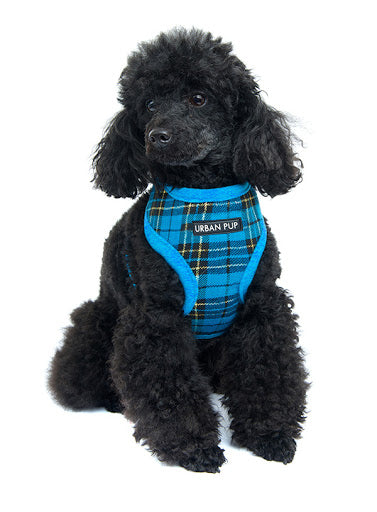 Luxury Fur Lined Dog Harness - Blue