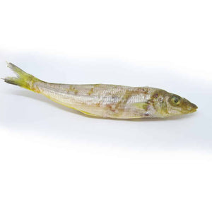 Natural Australian Whiting -White Fish Dog Treats